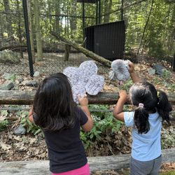 Blue Hills Trailside Museum