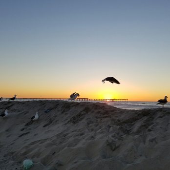 Ocean Beach - Beaches Near Me - San Diego, California Ocean Beach - Beaches Near Me - San Diego, California