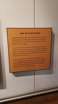 Southeast Alaska Discovery Center by null