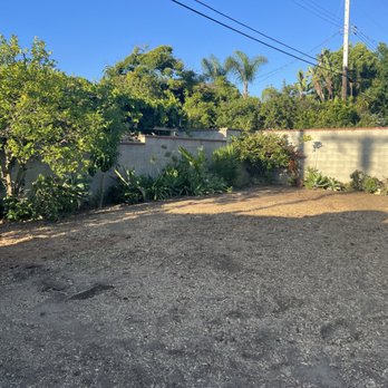 Green Control Landscape & Tree Service - After photo with clean up and pruning - Landscaping Near Me Green Control Landscape & Tree Service - After photo with clean up and pruning - Landscaping Near Me
