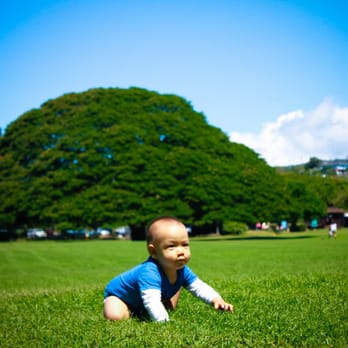 Moanalua Gardens - Parks Near Me - Honolulu, Hawaii Moanalua Gardens - Parks Near Me - Honolulu, Hawaii