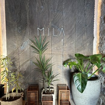 MILA Restaurant - Mediterranean Near Me - Miami Beach, Florida MILA Restaurant - Mediterranean Near Me - Miami Beach, Florida