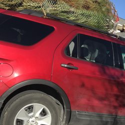 Barnes Tree Farm - Strapped up on our old front-wheel drive sleigh.