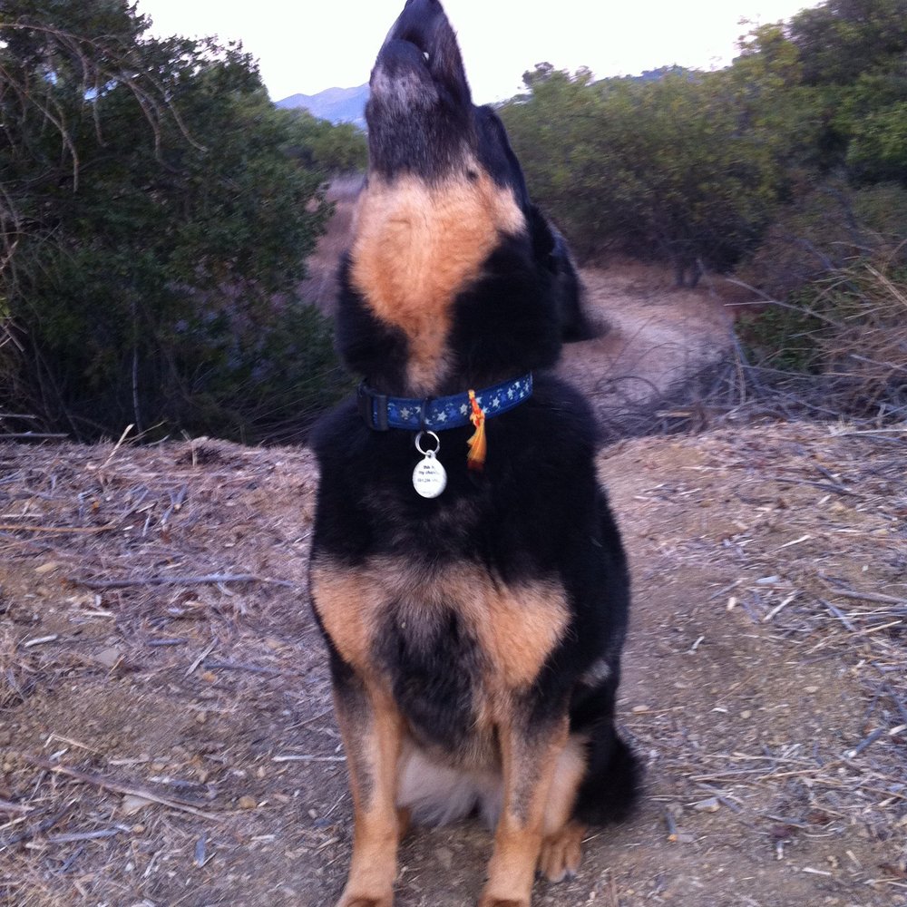 Chance and us are so grateful for the care we received. Chance and us are so grateful for the care we received.