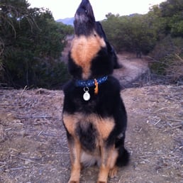 Chance and us are so grateful for the care we received. Chance and us are so grateful for the care we received.