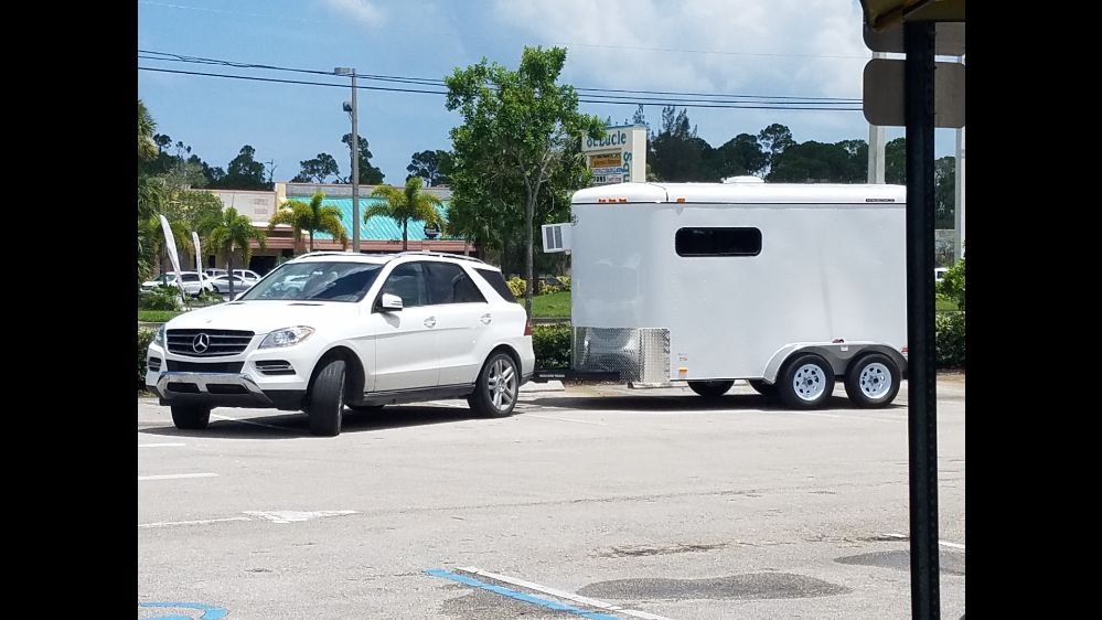 K9 DESIGNS MOBILE PET GROOMING Updated August 2024 13752 Williams Rd, Port St Lucie