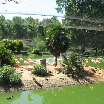 Sylvan Heights Bird Park - Parks Near Me - Scotland Neck, North Carolina Sylvan Heights Bird Park - Parks Near Me - Scotland Neck, North Carolina