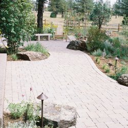 Flagstaff Native Plant & Seed - Native backyard landscape