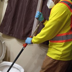 Lions Head Drain Cleaning
