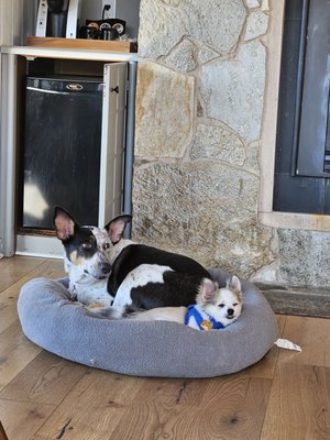 Salishan Coastal Lodge by null