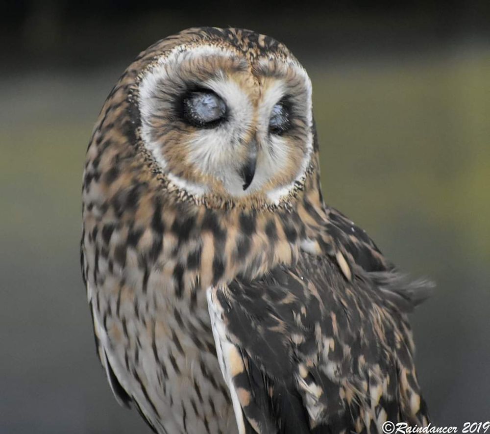 NICHOLS PHOTO LAB 17 Photos & 21 Reviews Photography Stores