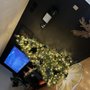Photo of Sanchez Paint & Remodeling Home