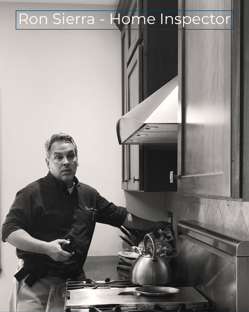 Pillar To Post Home Inspectors - Ron Sierra - mold inspector in Rye Brook, NY