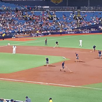 Tampa Bay Rays - Sweeping the field. - Professional Sports Teams Near Me - St. Petersburg, Florida Tampa Bay Rays - Sweeping the field. - Professional Sports Teams Near Me - St. Petersburg, Florida