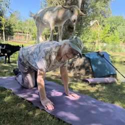Original Goat Yoga