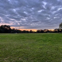 22nd Street Disc Golf Course - Open field leading to basket 1