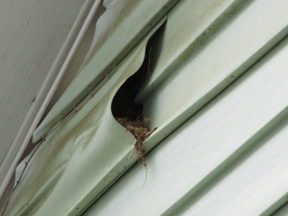 SKINNER PROPERTY INSPECTION 10 Photos McDonough, Home Inspectors Phone Number Yelp