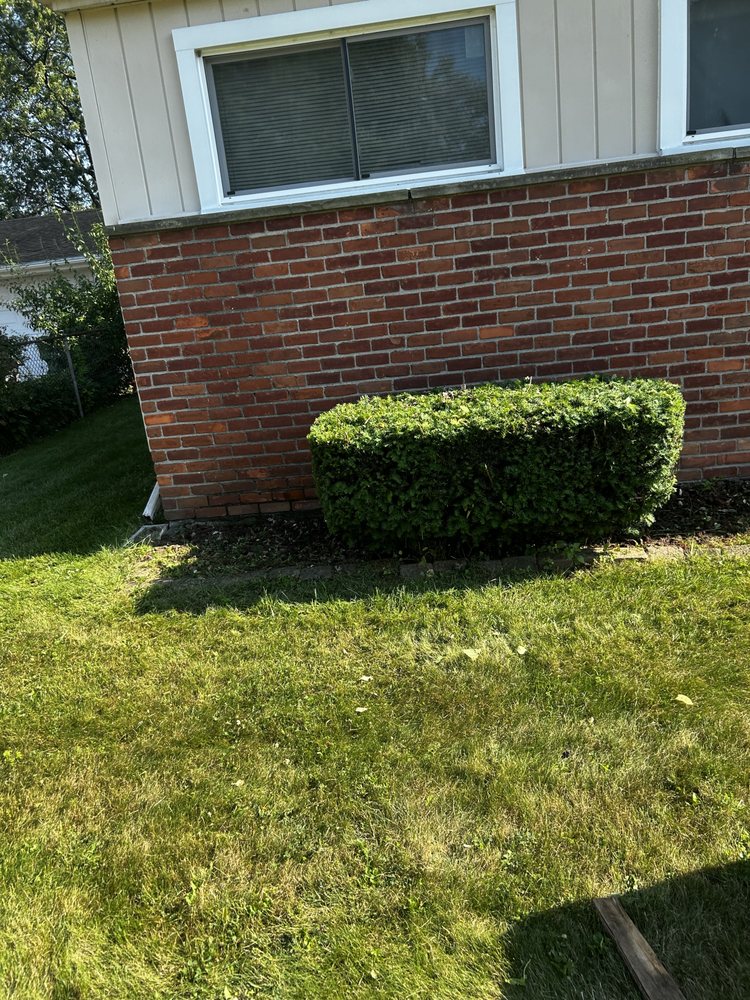 Slide of Shawn's Botany and Lanscaping