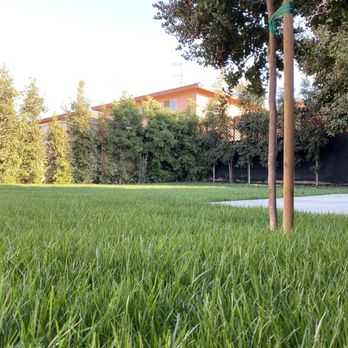 EC Irrigation Repair - Backyard after - Irrigation Near Me