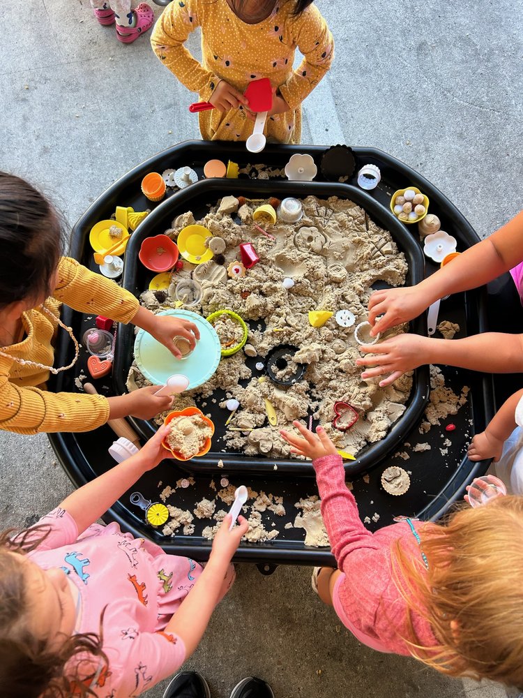 Sensory Celebrations Logo