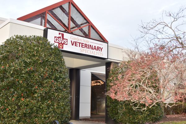 GARDEN STATE VETERINARY SPECIALISTS EATONTOWN Updated February 2026 L 