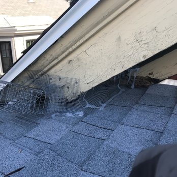 Smart Pest Control Service - One way door attached to exclude squirrels. - Pest Control Near Me