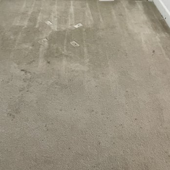 Absolute Carpet Care - Before - Carpet Cleaning Near Me - Dulles, Virginia