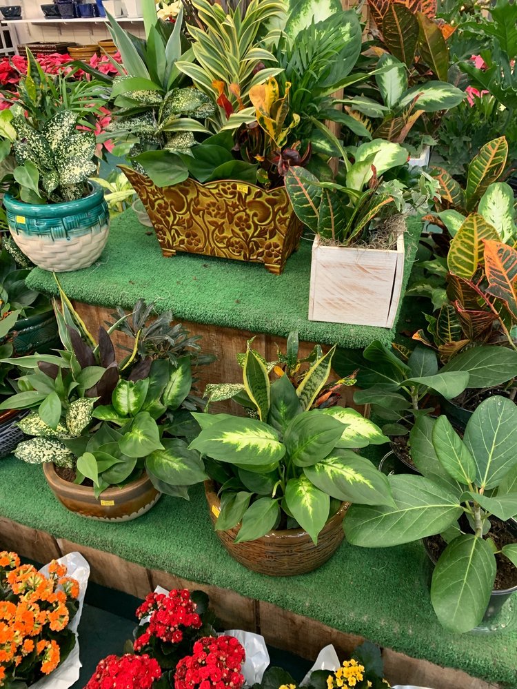 VALHALLA GARDEN CENTER 601 Columbus Ave, Valhalla, New York