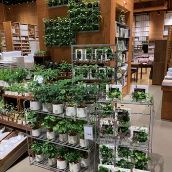 無印良品 - Japanese Near Me - Hong Kong, HK