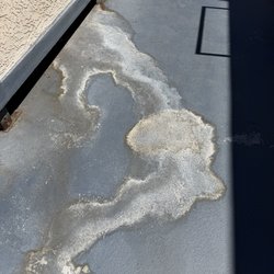 Candet Properties - Common area walkway showing significant discoloration. Reported to management on July 8 with no response as of August 23.