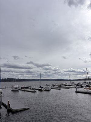 BluWater Bistro by null