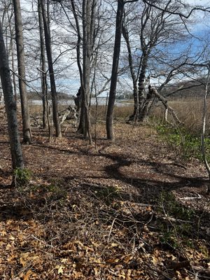 Elizabeth A. Morton National Wildlife Refuge by null