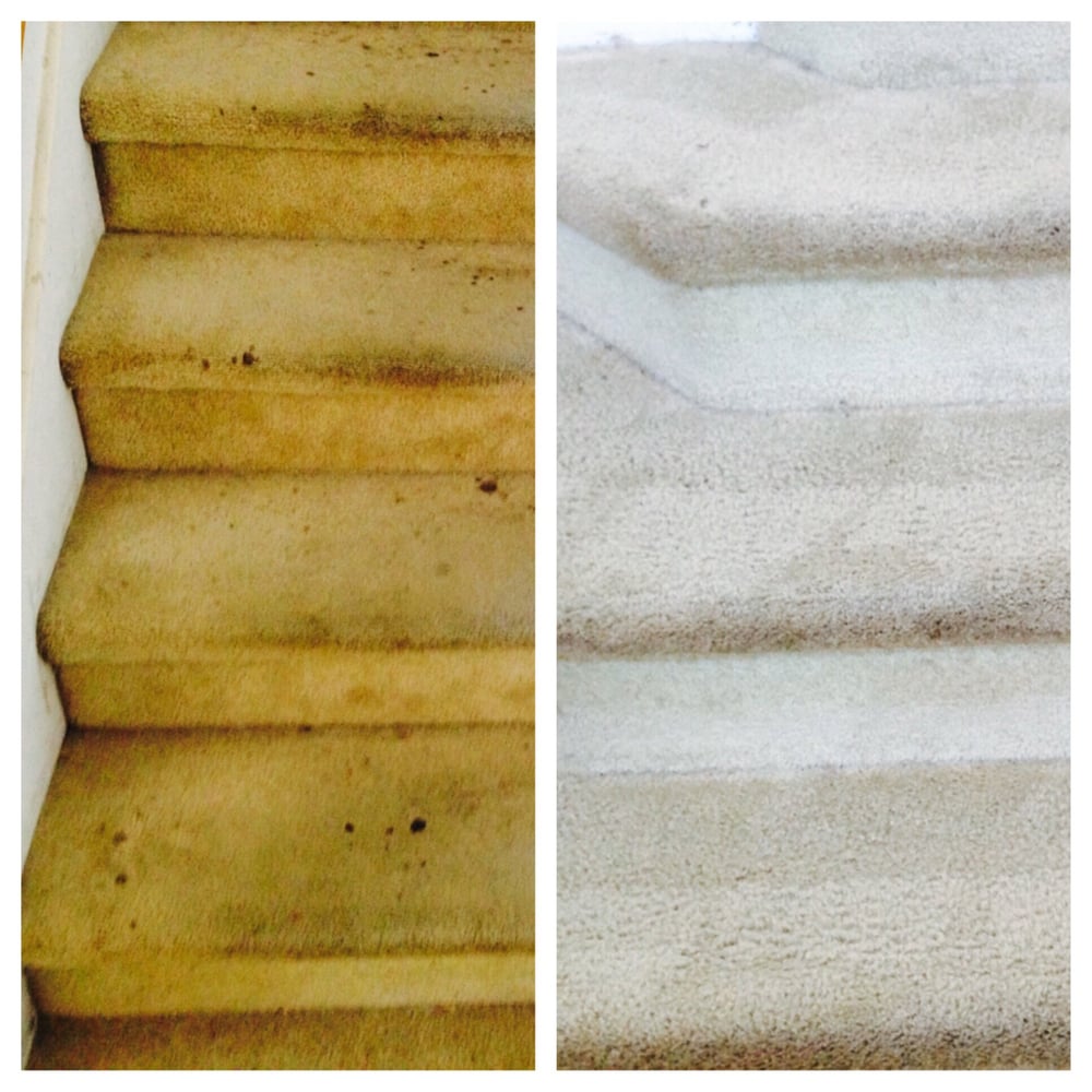 SAN DIEGO CARPET CLEANING Updated July 2024 39 Reviews 2050