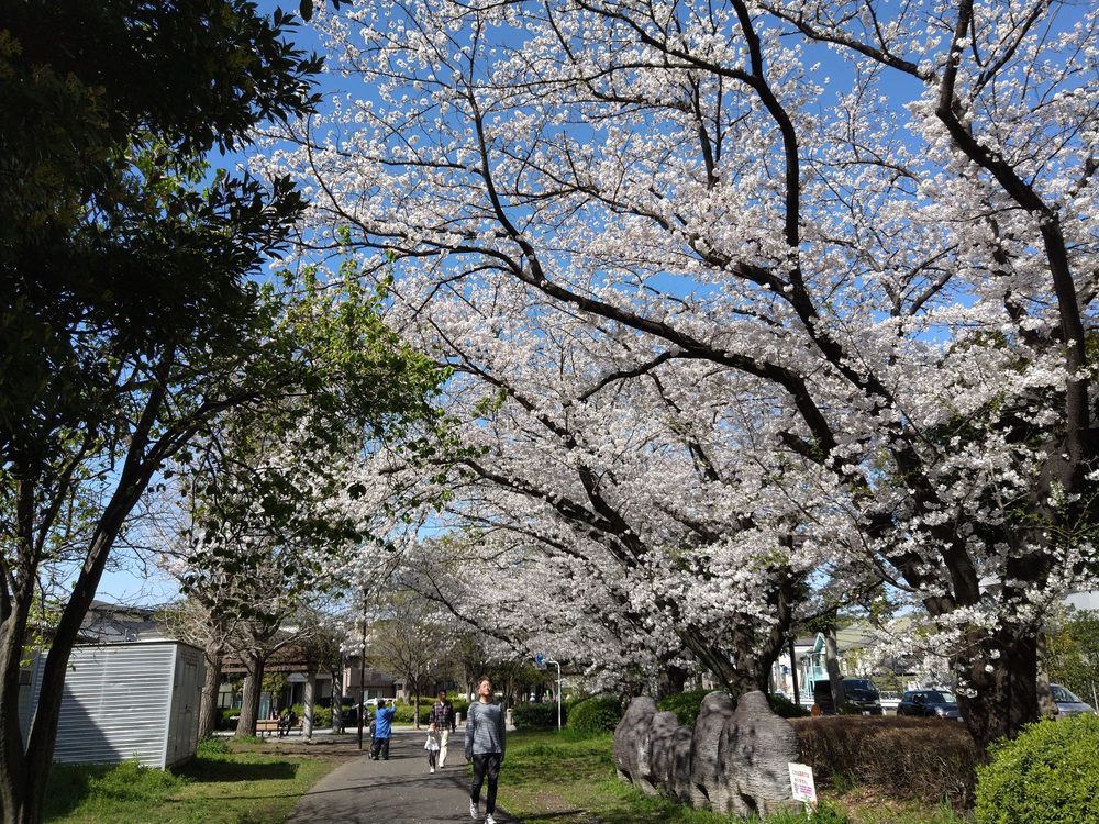 Futoo Zutsumi Green Way