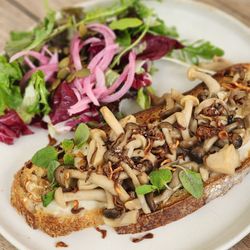 Feast: The Cafe at Field + Fort - Mushroom Tartine