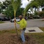 Photo of Downright Tree Cutting