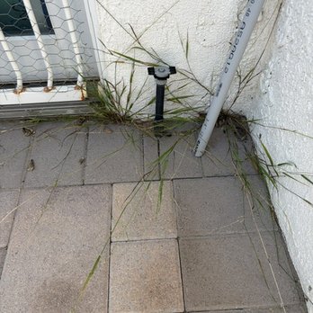 Belman Pavers - Not sanded properly - weeds growing all along edges - Masonry/Concrete Near Me - Rancho Cucamonga, California Belman Pavers - Not sanded properly - weeds growing all along edges - Masonry/Concrete Near Me - Rancho Cucamonga, California