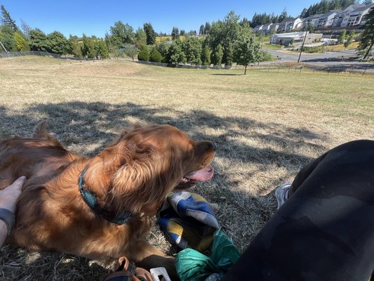 Paul and Verna Winkelman Dog Park, 10139 SW 175th Ave