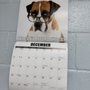 A Caring Heart Veterinary Hospital