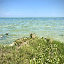 Hans and Pat Suter Wildlife Refuge - Beautiful day