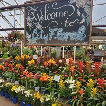 City Floral - Welcome to City Floral - Nurseries & Gardening Near Me - Denver, Colorado City Floral - Welcome to City Floral - Nurseries & Gardening Near Me - Denver, Colorado