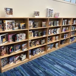 Gulf Beaches Public Library - Puzzles