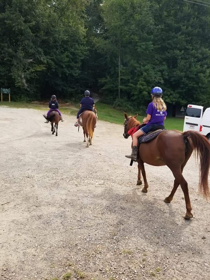 YMCA CAMP YNOAH EQUESTRIAN CENTER Updated September 2024 815 Mt
