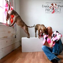 Creepy Creatures Termite and Pest Control - I love rescuing dogs off the street. www.Million4Charity.com