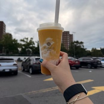 Tea Pulse - Bubble Tea Near Me - Fresh Meadows, New York