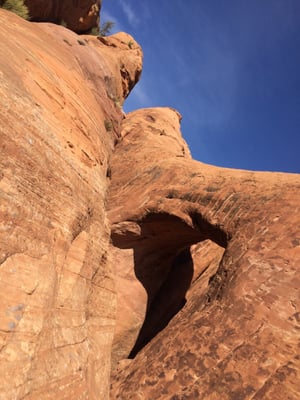 Moab Desert Adventures by null