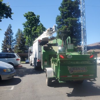 Eli Tree Service - Tree Services Near Me
