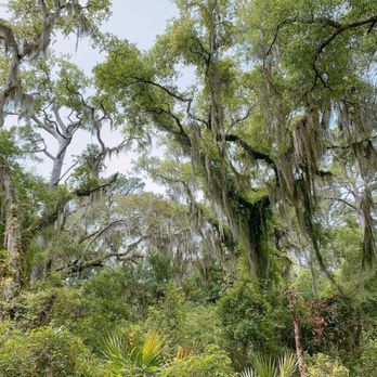 Jekyll Island - Local Flavor Near Me Jekyll Island - Local Flavor Near Me
