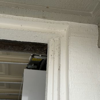 EcoGuard Pest Management - Types of annoying webs s we were experiencing - Pest Control Near Me - Folsom, California