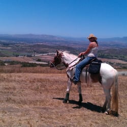 Infinite Horsemanship - Our main lesson horse, Flash, having a break on a 9 mile ride.